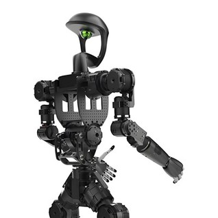 Pati estriktirèl robo